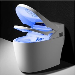 WC JAPONAIS "LE TOPTOILET" LUXE PLATINIUM 2 +