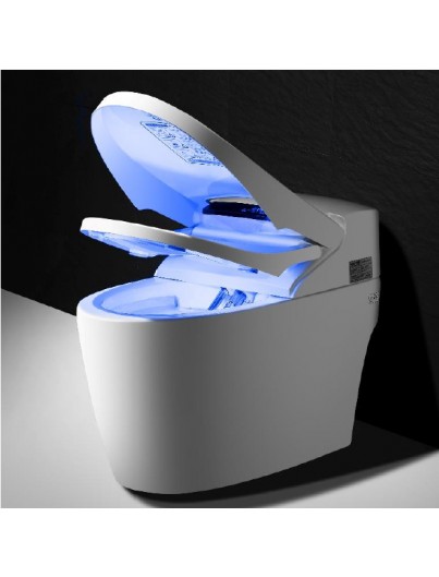 WC JAPONAIS "LE TOPTOILET" LUXE PLATINIUM 2 +