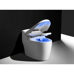 WC JAPONAIS  MONOBLOC  LUXE PLATINIUM 2