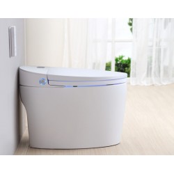 WC JAPONAIS MONOBLOC LUXE DIAMOND PLUS